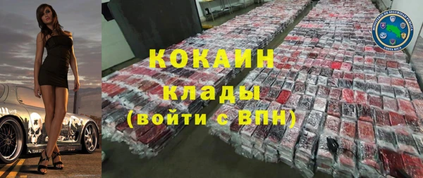 дмт Новозыбков