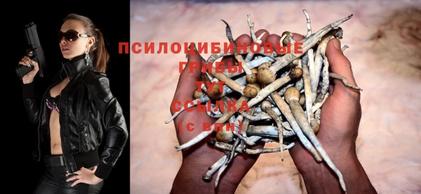 прущий лед Нягань