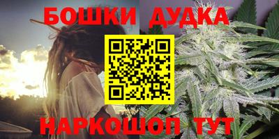 ГАЛЛЮЦИНОГЕННЫЕ ГРИБЫ Кандалакша