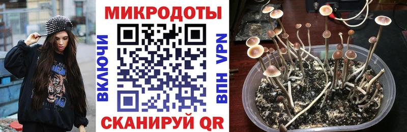 Галлюциногенные грибы мицелий  KRAKEN рабочий сайт  Южно-Сахалинск  где продают  