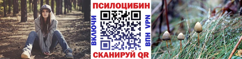 Галлюциногенные грибы Psilocybe Южно-Сахалинск