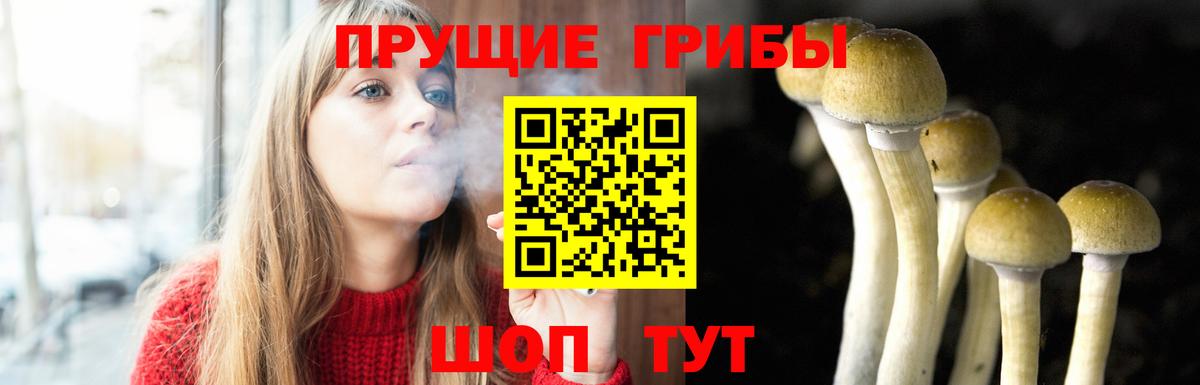 Южно-Сахалинск  Псилоцибиновые грибы мицелий  Галлюциногенные грибы мухоморы  Вход с VPN 